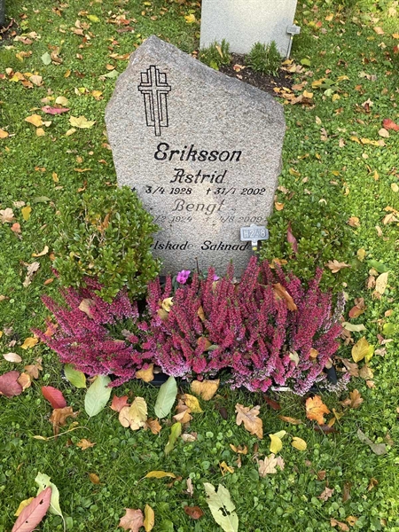 Hautatunnus: 1 H   248