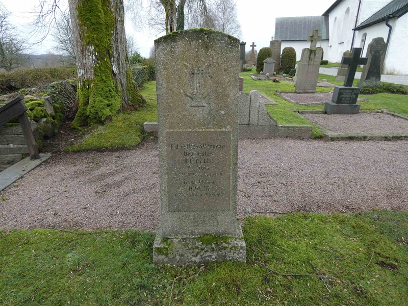 Grave number: BR G   230