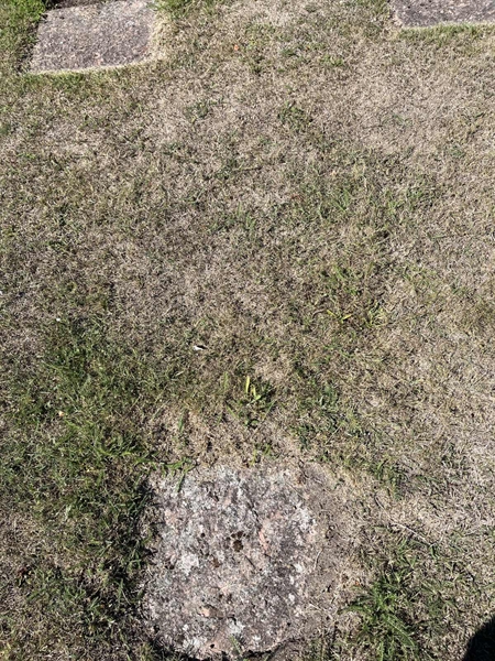 Grave number: NK I:u   438