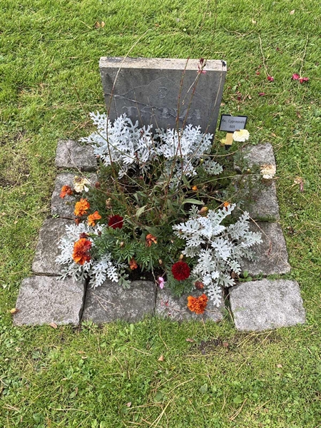 Hautatunnus: 2 C   601