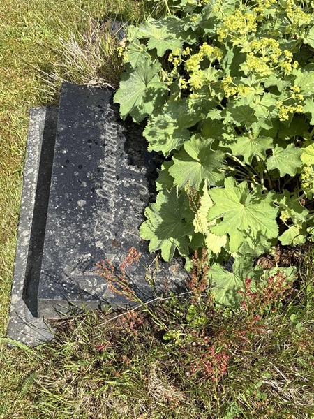 Grave number: SKF E   165, 166
