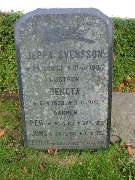 Grave number: ÖK C    019