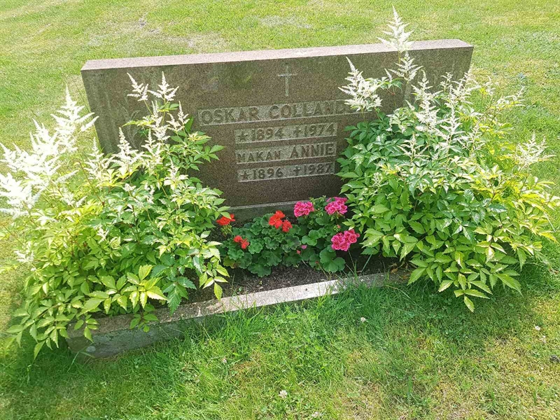 Grave number: 01  1930