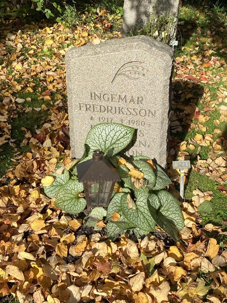 Hautatunnus: 1 H   244