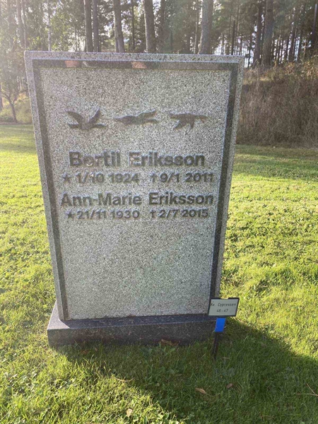 Gravnummer: 2 C    46-47