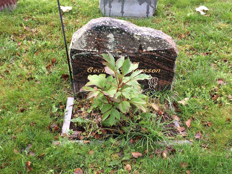 Grave number: 3 1580