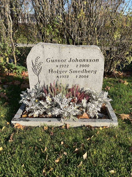 Gravnummer: 3084 J    61-62