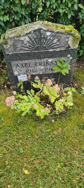 Grave number: M 18    2
