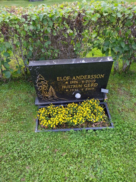 Grave number: 1 05   159-160