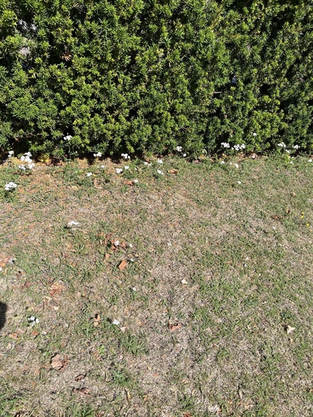 Grave number: NK I:u    46