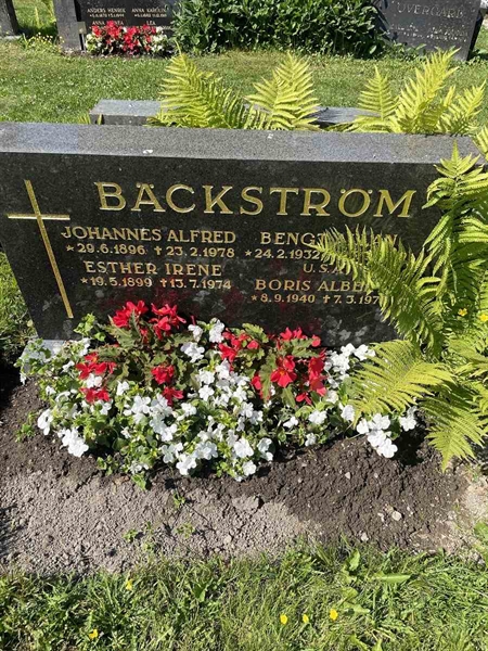 Grave number: N 5 2   222