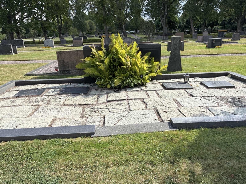 Grave number: 33 6   238