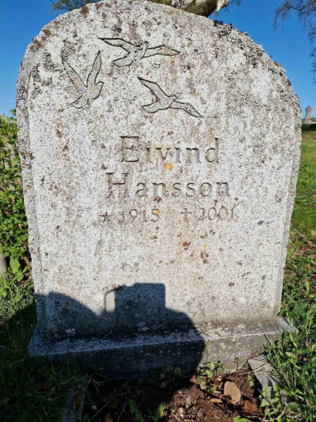 Grave number: 501 14 2799