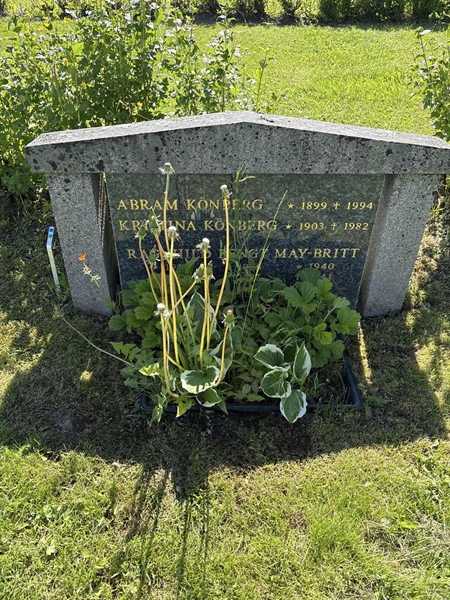 Grave number: 4 M MA    76-78
