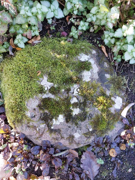 Hautatunnus: 1 L   084