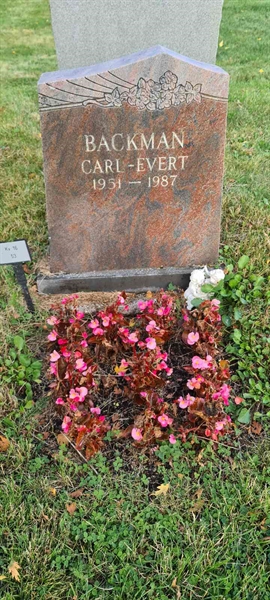 Grave number: M 16   53
