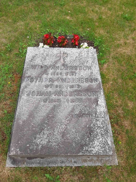 Grave number: M3 A    47, 48, 49