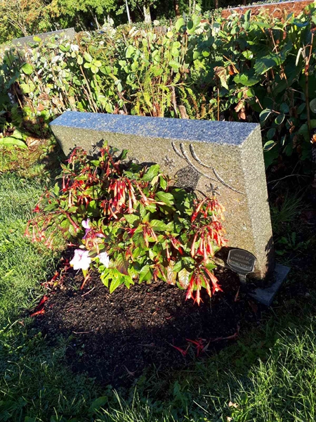 Hautatunnus: NK F B    38