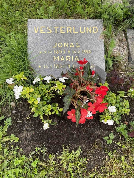 Hautatunnus: N 4 4   574