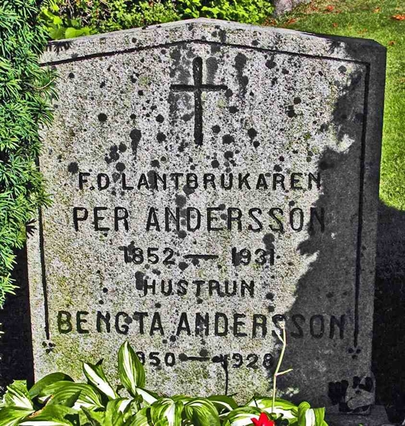 Grave number: 3 F    36