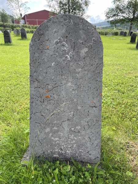 Grave number: DU GS   229