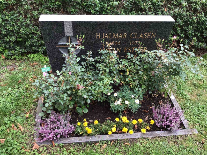 Hautatunnus: Led   218-219