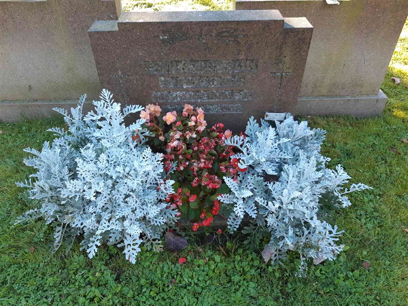 Hautatunnus: Fr 7   338-339