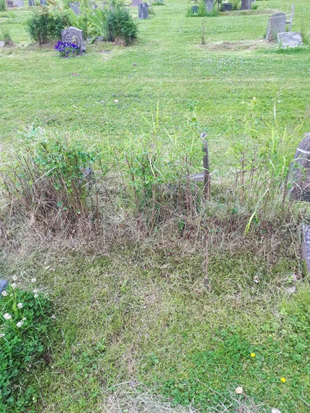 Hautatunnus: GK A 5   183M