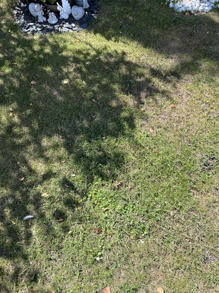 Grave number: NK I:u    79
