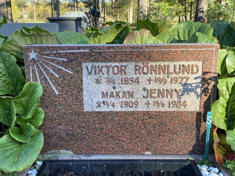 Grave number: 3 11 95