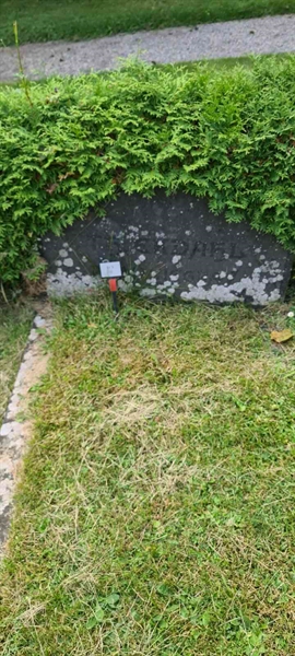 Grave number: M V   32