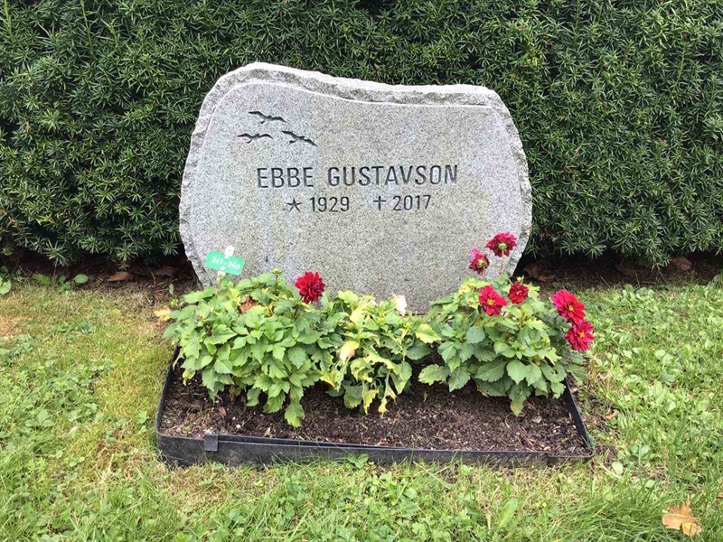 Hautatunnus: Kaga ny   240-241