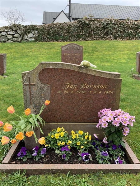 Grave number: SÖ N    37