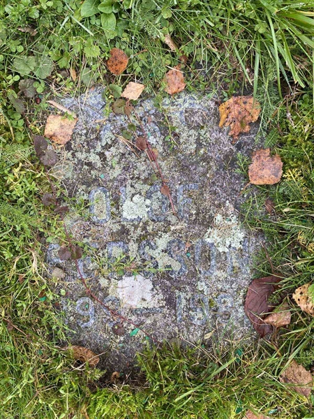 Gravnummer: 1 24    177