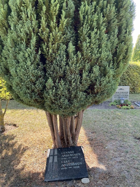 Grave number: NK X:u    53