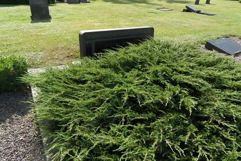 Grave number: ÖK 4    15