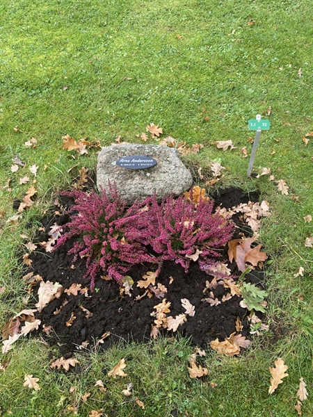 Grave number: 1 3 L1    32