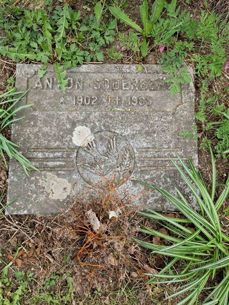 Grave number: 502 17 2430