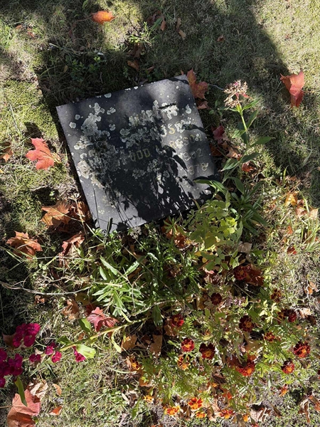 Grave number: H 1    22