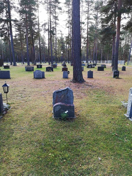 Hautatunnus: VLM 15   100