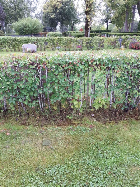 Grave number: NK F A   154