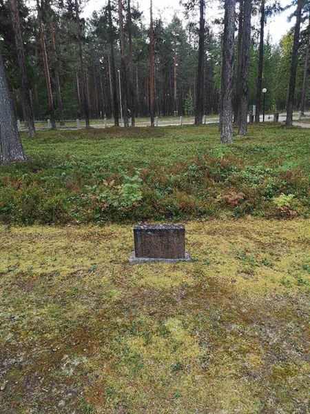 Hautatunnus: VLM 06    11:1