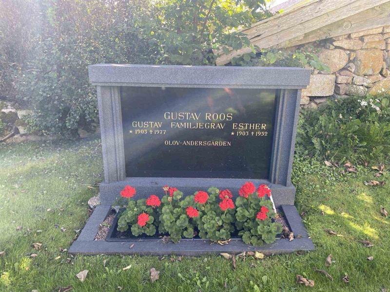 Grave number: SKÄ D     9