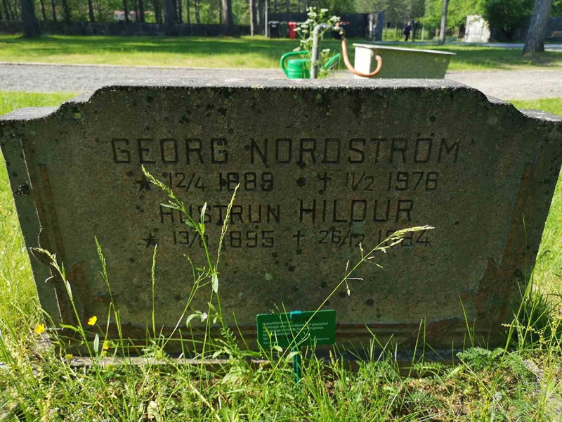 Grave number: NK 02    84