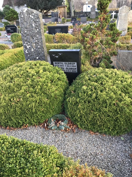 Grave number: 2 E    48-49