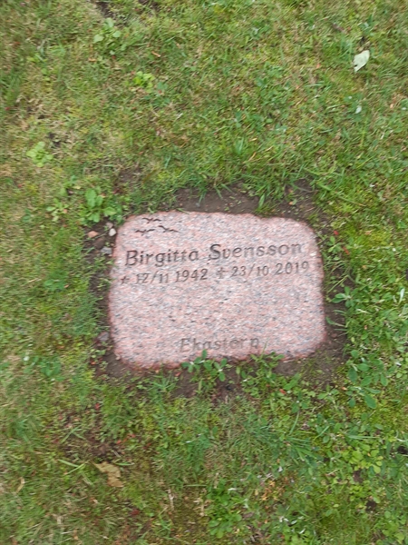 Grave number: 6 2 AGP    17