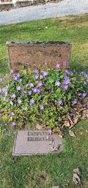 Grave number: SG 02   115