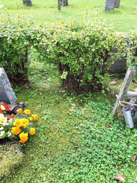 Hautatunnus: GK A 4   221H