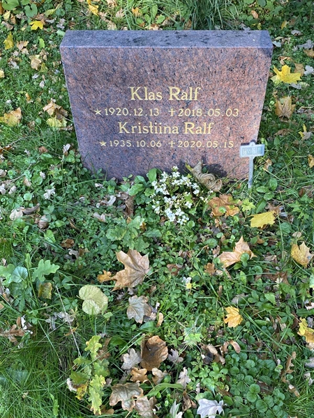 Hautatunnus: 1 H   410