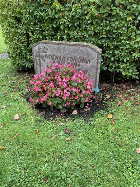 Grave number: 2 N 325
